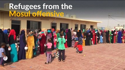 Hundreds of refugees arrive at camp after Mosul assault