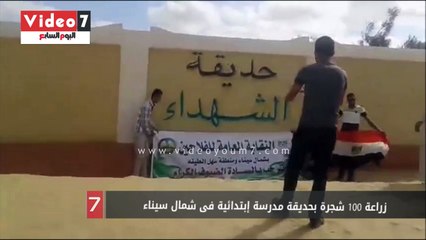 زراعة 100 شجرة بحديقة مدرسة إبتدائية فى شمال سيناء