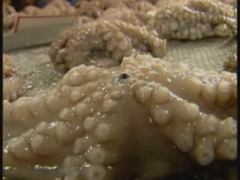 grèce, les halles d'athènes...