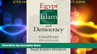 Big Deals  Egypt, Islam, and Democracy: Critical Essays  Best Seller Books Most Wanted