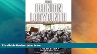 Big Deals  The Iranian Labyrinth: Journeys Through Theocratic Iran and Its Furies  Full Read Most