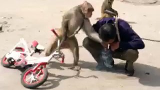 Funny videos compilation's 2016(5)