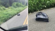 Woman Driving When She Spots Trash Bag Moving To Side Of Road. When She Rips It Open? CATASTROPHIC.