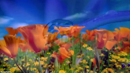 Усейн Абдуллаев - Жизнь продолжается