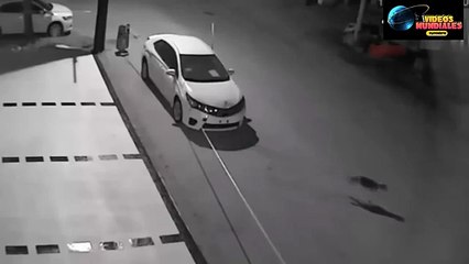 Mira cómo unos perros destruyen un carro