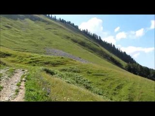 Pointe de Vélan - 1er aout 2011