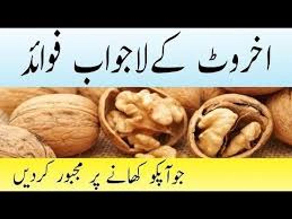 5 Akhrot khain phir kamal dekhain Health Benefits Of Walnuts in UrduAkhrot Ke Fawaidاخروٹ کے فائدے (1)