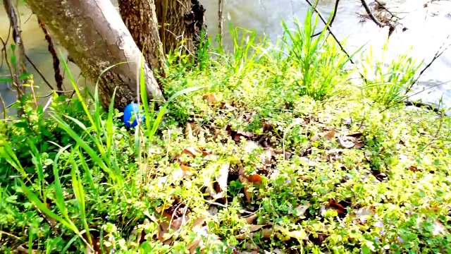 EGGS FROZEN BARBIE HELLO KITTY PLAY DOH MY LITTLE PONY DISNEY PRINCESS ZELF Kinder Surpris