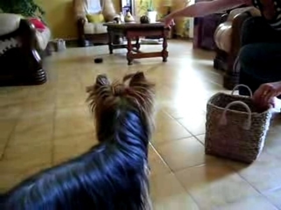 Astrid qui range ses jouets - août 2007