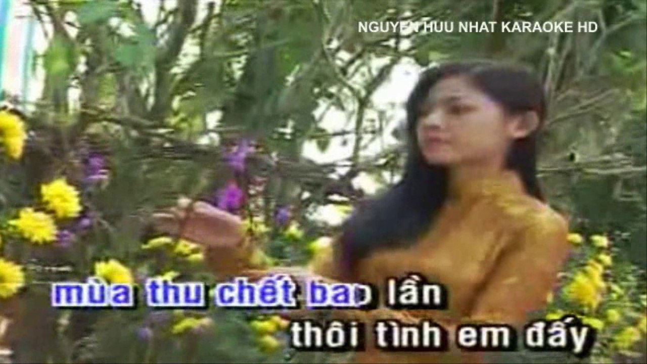Karaoke Buồn Tàn Thu Trường Vũ Beat Chuẩn