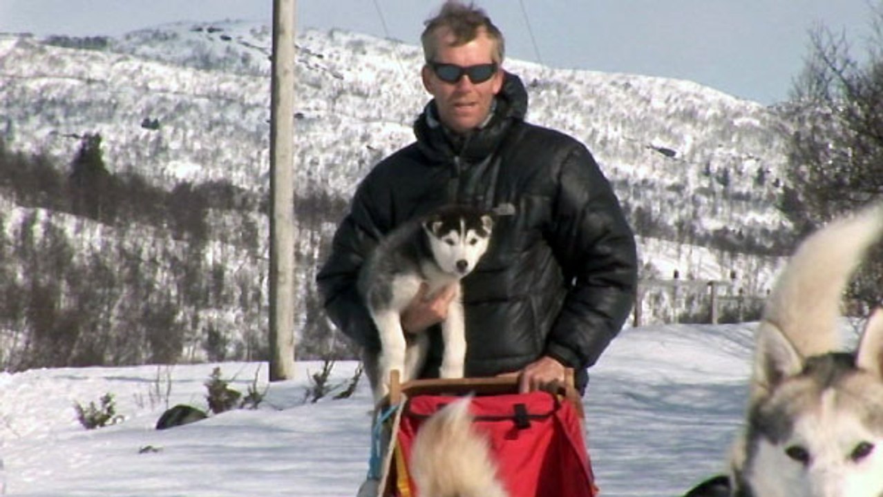 Hovden Teil 4 - Mit Schlittenhunden unterwegs