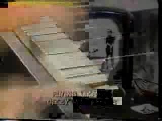 トカゲ 眩Flying Lizards Dizzy Miss LIZZY さん