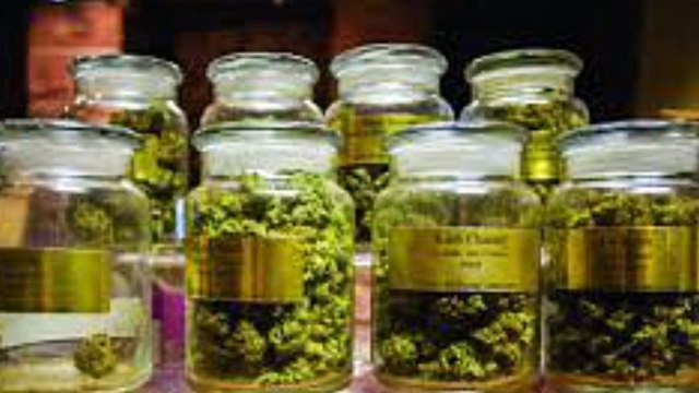 Choosing a Trusted Medical Marijuana Dispensary