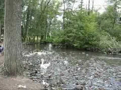 1192 - la cour de Sa Majesté