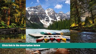 Must Have  Moraine Lake Banff National Park Canada Journal: 150 page lined notebook/diary  Premium