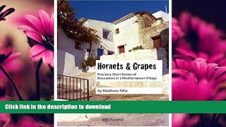 READ  Hornets and Grapes: Five Very Short Stories of Encounters in a Mediterranean Village  PDF