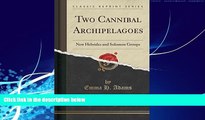Big Deals  Two Cannibal Archipelagoes: New Hebrides and Solomon Groups (Classic Reprint)  Full
