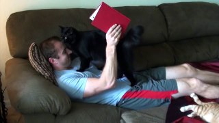 How Cats Say 'I Love You'