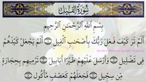 Surah Al Fil 105 Recitation by  Sheikh Mishary Rashid Al Afasy
