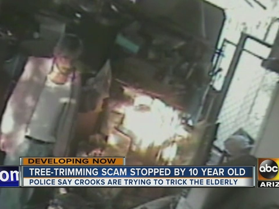 Scammers use tree-trimming scam to attack elderly couple