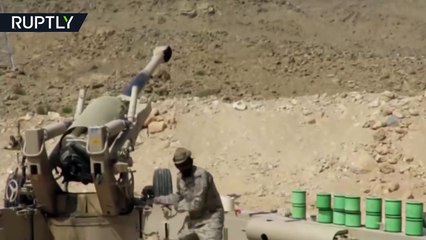 Yemen conflict: Pro-Hadi forces make gains in eastern province after surprise attack