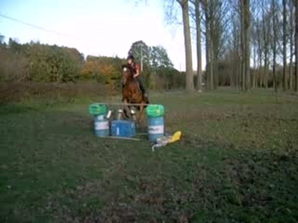 Dawson en saut