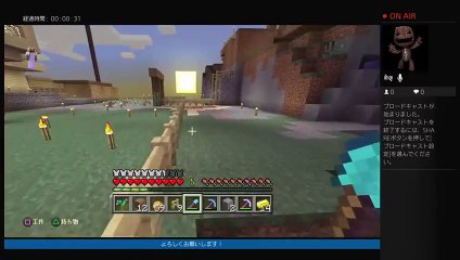 マインクラフトいろいろするよ (17)