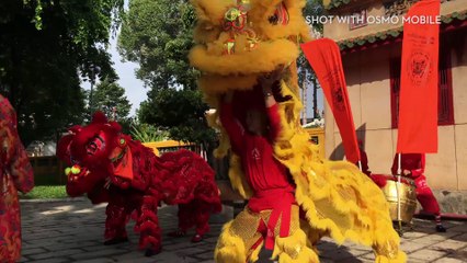 DJI : Osmo Mobile – The Traveler