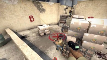 CS GO - Most SILVER Ninja Award!