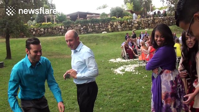 Dog acts as ring bearer at wedding but gets a bit confused