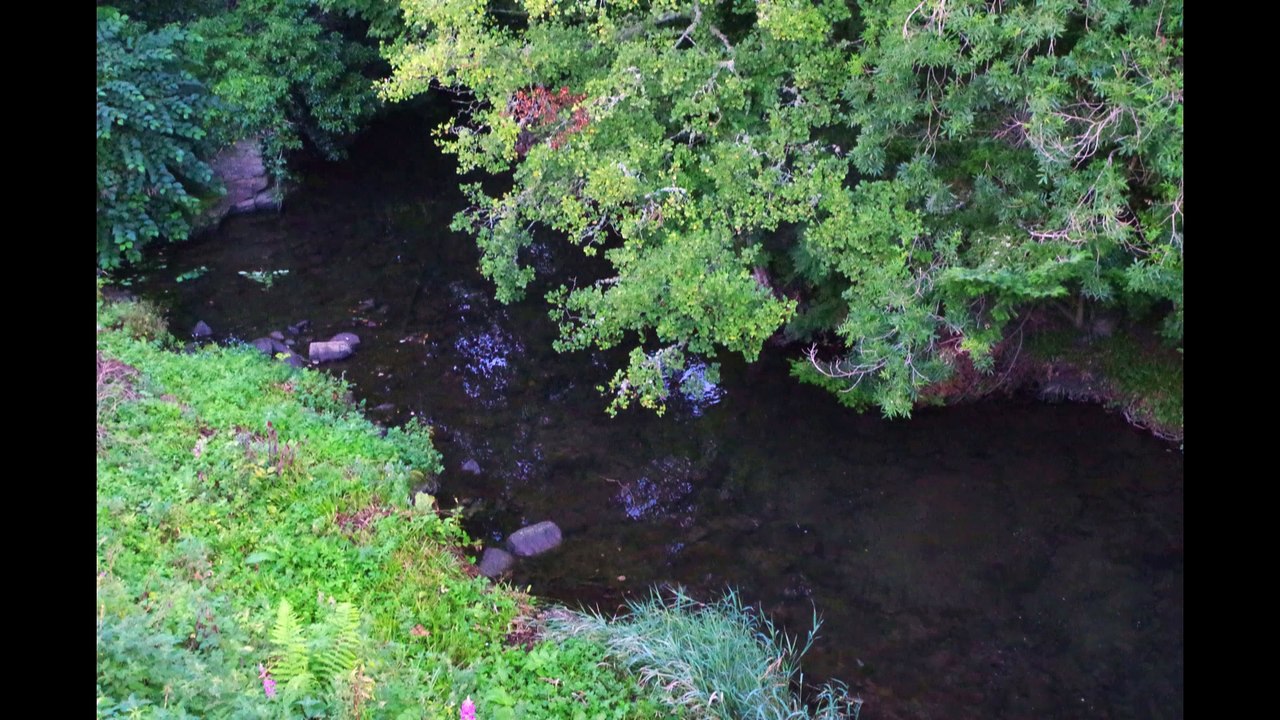 Schottland 160903_160904