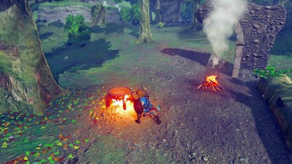 Zelda Breath of the Wild : Nouvelle Vidéo Site officiel 01