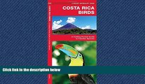 Popular Book Costa Rica Birds: A Folding Pocket Guide to Familiar Species (Pocket Naturalist Guide