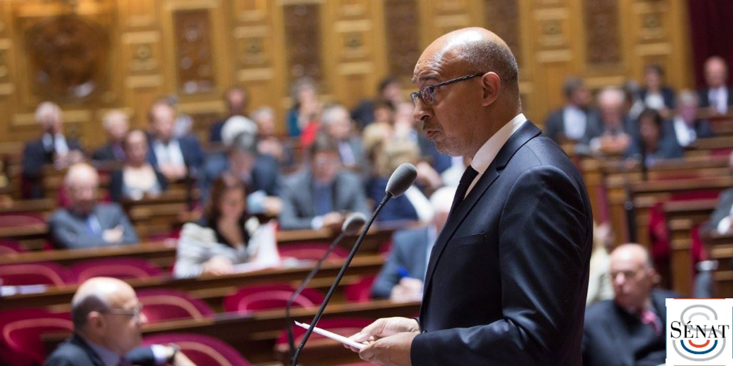 Intervention au Sénat d'Harlem Désir lors du débat préalable au Conseil européen du 20 et 21 octobre 2016