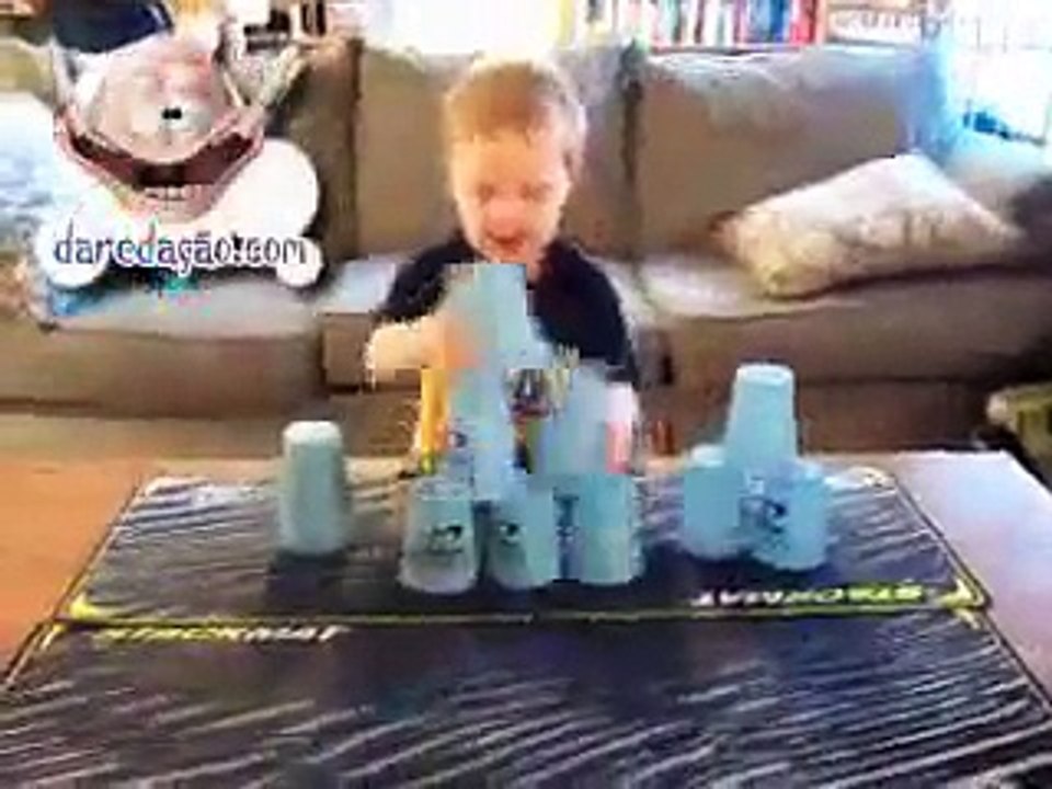 Boy at his best good boy