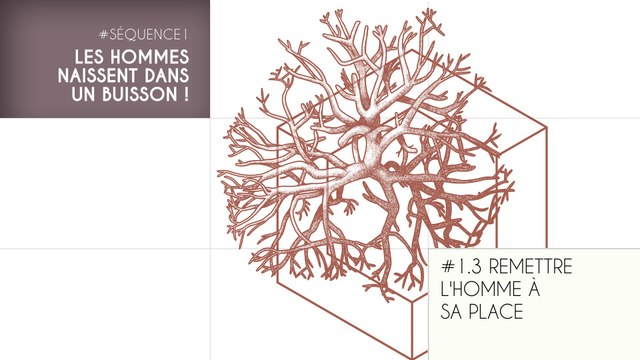 MOOC Les origines de l'Homme - Sujet 1.3 : Remettre l'Homme à sa place