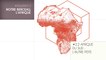 MOOC Les origines de l'Homme  - Sujet 2.2 : Afrique du Sud : l'autre piste