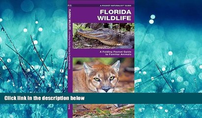 eBook Download Florida Wildlife: A Folding Guide to Familiar Animals (Pocket Naturalist Guide