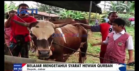 Siswa SD Menabung untuk Membeli Hewan Kurban