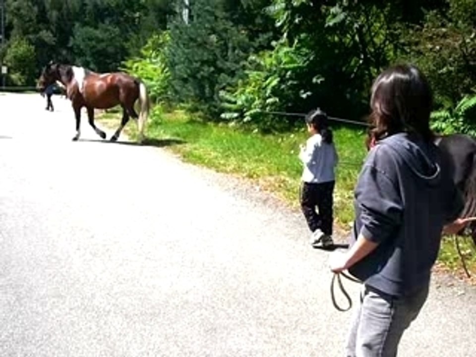 cheval