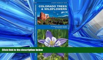 Online eBook Colorado Trees   Wildflowers: A Folding Pocket Guide to Familiar Plants (Pocket