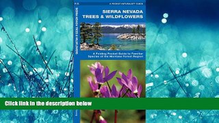 Choose Book Sierra Nevada Trees   Wildflowers: A Folding Pocket Guide to Familiar Species of the