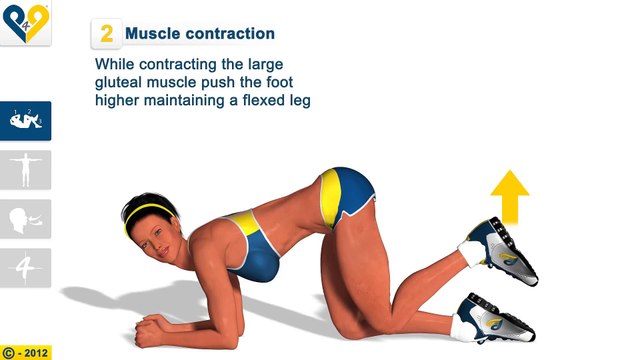 Burn Cellulite exercise Hip extensions bent knee