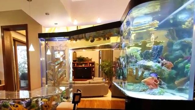 Beautiful Kitchen Aquarium Design Ideas
