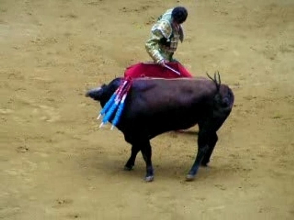 Jose tomas san sebastian 2007 (muleta 1er - 2)