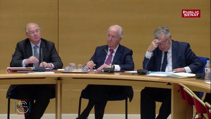 Édouard Balladur sur le TAFTA : "Il faut protéger l'agriculture française"