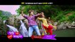 Love Pain Kuch Bhi Karega Odia Movie || O Lala OLala Official Video Song | Babushan , Supriya |