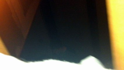 Antonin Le Plus Grand anaïs La Plus Petite noé Le Moyen