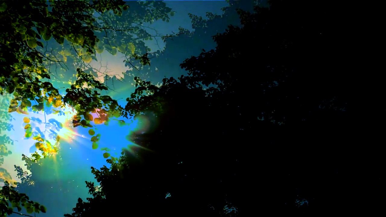 'Chinchilla' - "Oliver Laughton"  - Live Summer 2014!