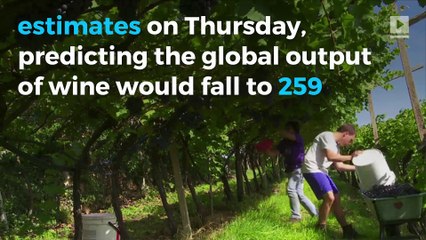 Global wine production expected to fall to 4-year low